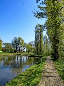 Martel avril2019    (12)