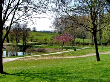 Martel avril2021    (11)