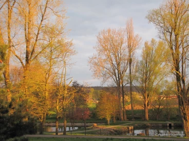 Martel avril2019    (1)