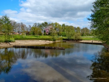 Martel avril2014    (3)