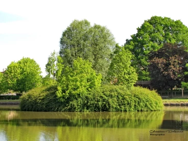 Martel mai2014    (12)