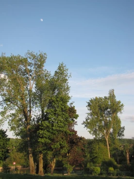 Martel mai2022    (1)