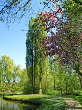 Martel mai2016    (8)