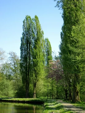 Martel mai2016    (6)