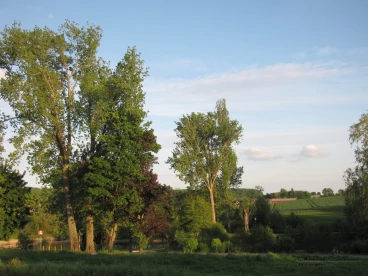 Martel mai2022    (2)