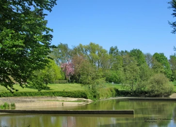 Les étangs Martel en mai