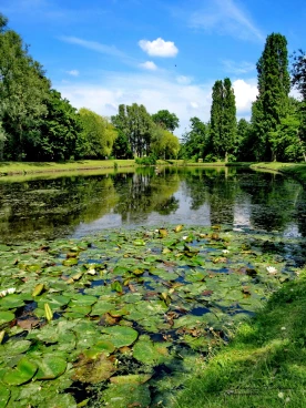 Martel juin2019  (5)