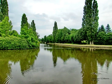 Martel juin2017  (8)