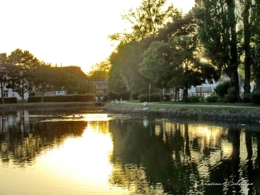 Martel juin2020  (8)