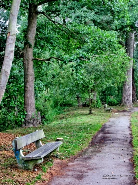 Martel juin2017  (1)