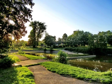 Martel juin2020  (5)