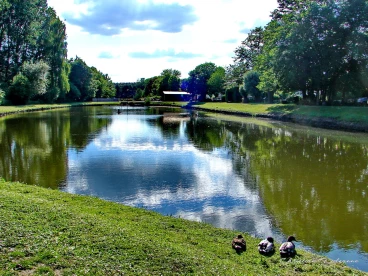 Martel juin2022  (10)