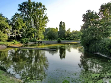 Martel juin2020  (1)