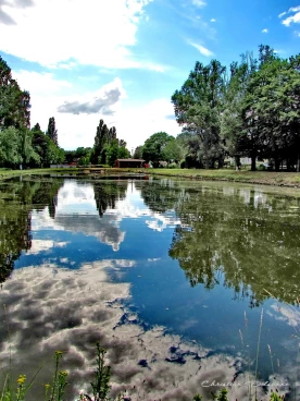 Martel juin2020  (10)