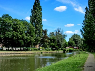 Martel juin2018  (3)