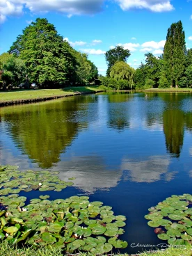 Martel juin2022  (5)