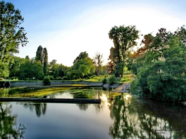 Martel juin2020  (2)