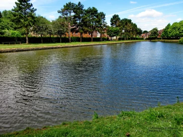 Martel juin2018  (2)