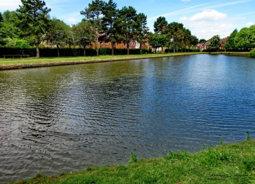 Les étangs Martel en juin