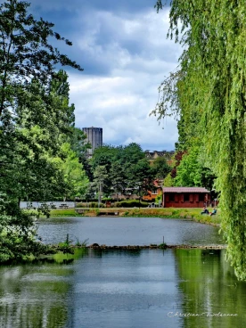 Martel juillet2020  (15)