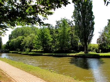 Martel juillet2020  (18)