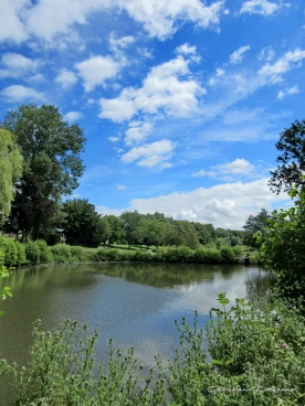 Martel juillet2020  (14)