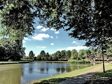 Martel juillet2020  (16)