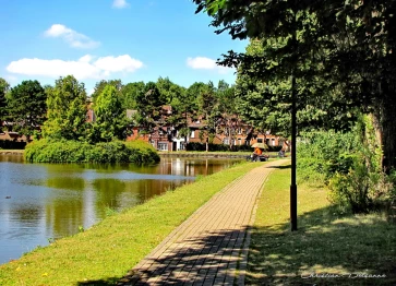 Les étangs Martel en juillet