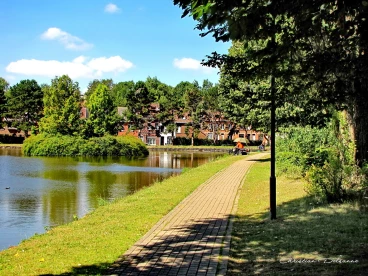 Martel juillet2020  (17)