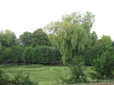 Martel aout2022   (14)