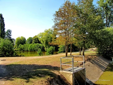 Martel aout2022   (7)