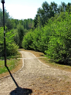 Martel aout2022   (10)