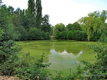 Martel aout2022   (15)