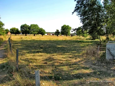 Martel aout2022   (6)