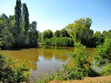 Martel aout2022   (11)