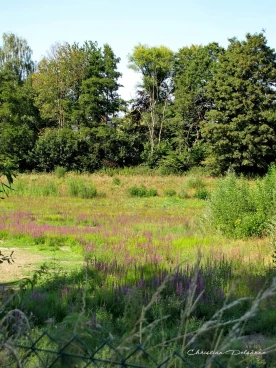 Martel aout2022   (1)