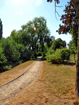 Martel aout2022   (12)