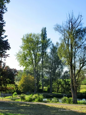 Martel septembre2019    (3)