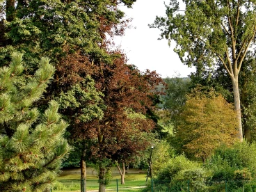 Martel septembre2021    (8)