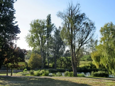 Martel septembre2019    (1)