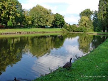 Martel septembre2021    (4)