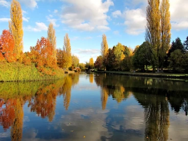 Martel novembre2018   (17)