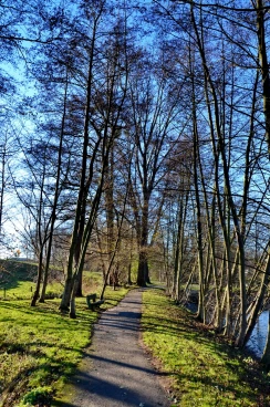 Martel novembre2016   (8)