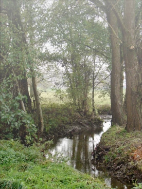 Martel novembre2021   (21)