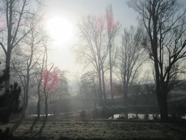 Martel novembre2019   (9)