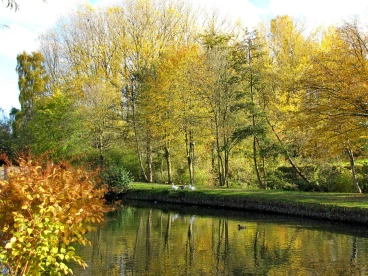 Martel novembre2018   (13)