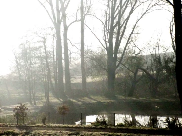 Martel novembre2019   (5)