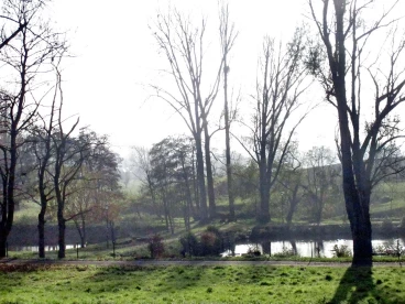 Martel novembre2019   (1)