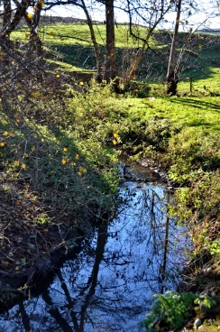 Martel novembre2016   (4)