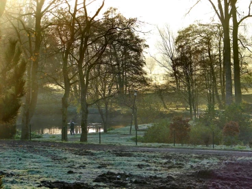 Martel novembre2020   (23)